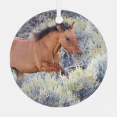 Carter Colt, Wild Horse Ornament (Achterkant)