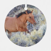 Carter Colt, Wild Horse Ornament (Voorkant)