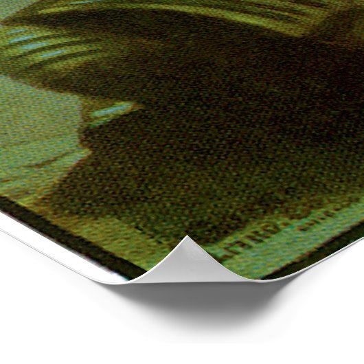 Carter The Mysterious Poster (Hoek)