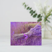 Cartes postale bouquet de lavandes briefkaart (Staand voorkant)