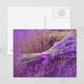 Cartes postale bouquet de lavandes briefkaart (Voorkant / Achterkant)