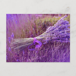Cartes postale bouquet de lavandes briefkaart