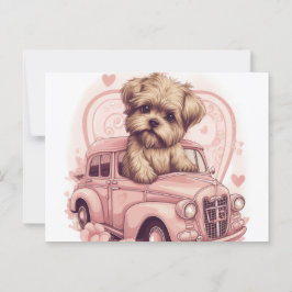 Cartes Postales Dog Yorkshire Briefkaart