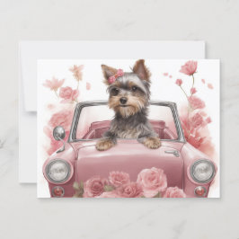 Cartes Postales Dog Yorkshire Briefkaart