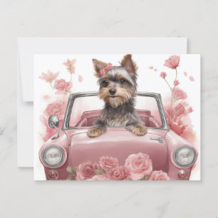 Cartes Postales Dog Yorkshire Briefkaart