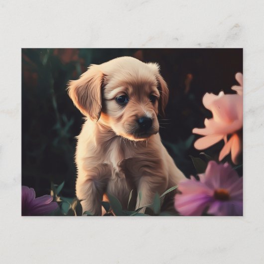 Cartes Postales Puppy Briefkaart (Voorkant)