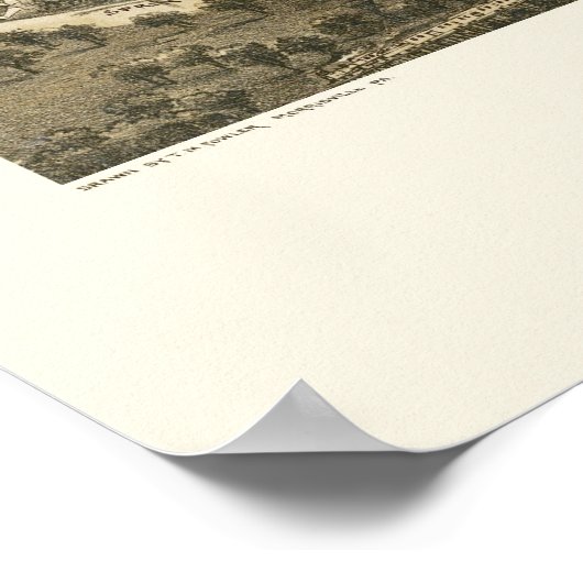 Carthage, MO Panorama Map - 1891 Poster (Hoek)