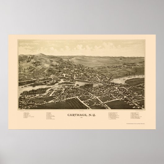 Carthage, NY Panoramic Map - 1888 Poster (Voorkant)