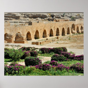 Carthage oude Punische stad, verwoest en vernietig Poster