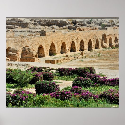 Carthage oude Punische stad, verwoest en vernietig Poster (Voorkant)