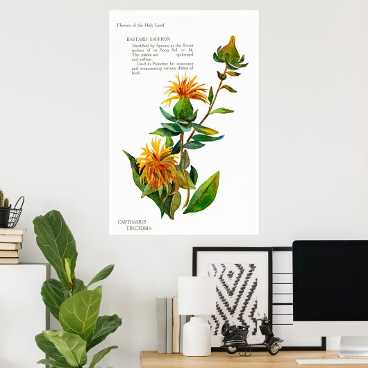 Carthamus Tinctoria Poster (Thuiskantoor)