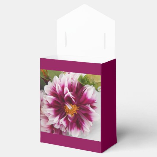 Cartheuserin Bedankdoosjes (Geopend)