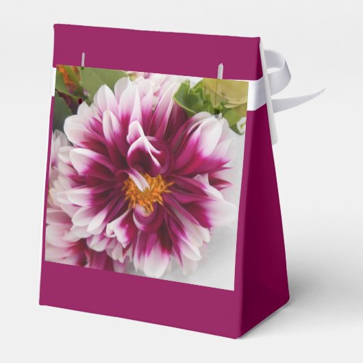 Cartheuserin Bedankdoosjes (Achterkant)