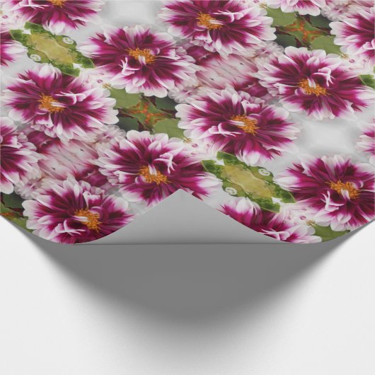 Cartheuserin Cadeaupapier (Hoek)