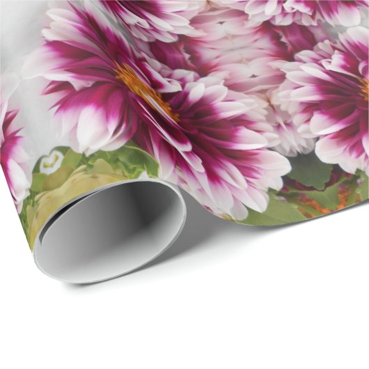 Cartheuserin Cadeaupapier (Rol Hoek)