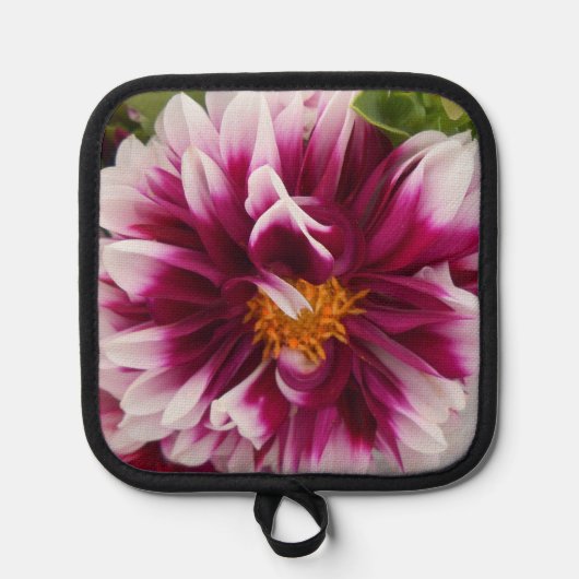 Cartheuserin Pannenlap (Voorkant)