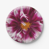 Cartheuserin Papieren Bordje (Voorkant)