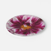 Cartheuserin Papieren Bordje (Gekanteld)