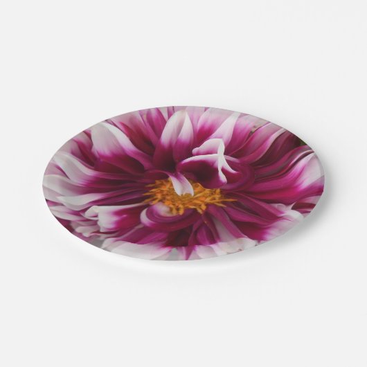 Cartheuserin Papieren Bordje (Gekanteld)