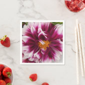 Cartheuserin Servetten (Insitu)