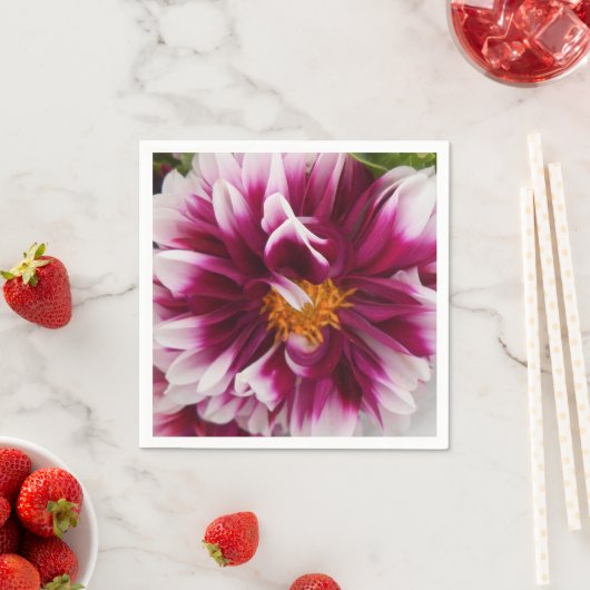 Cartheuserin Servetten (Insitu)