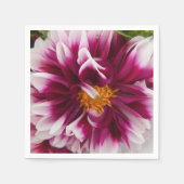 Cartheuserin Servetten (Voorkant)