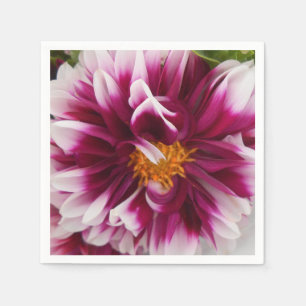 Cartheuserin Servetten