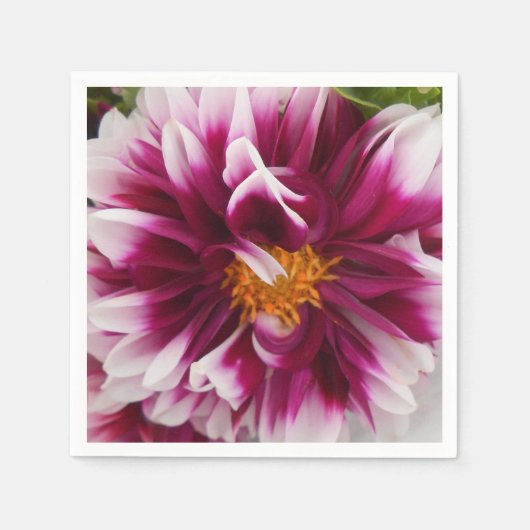 Cartheuserin Servetten (Voorkant)