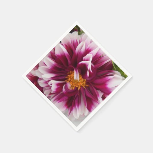 Cartheuserin Servetten (Hoek)