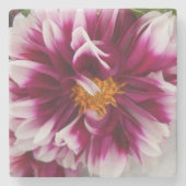 Cartheuserin Stenen Onderzetter (Voorkant)