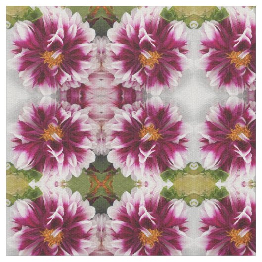 Cartheuserin Stof (Close Up)