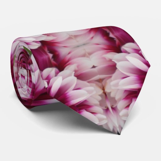 Cartheuserin Stropdas (Opgerold)