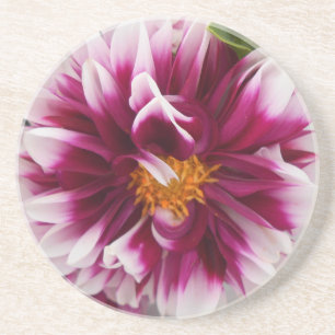 Cartheuserin Zandsteen Onderzetter