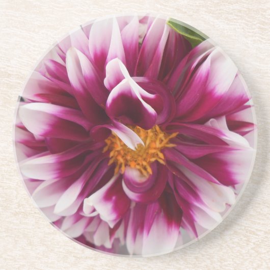 Cartheuserin Zandsteen Onderzetter (Voorkant)