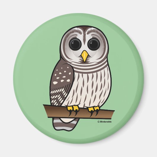 Cartoon Barred Owl Magneet (Voorkant)
