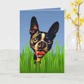 Cartoon Boston Terrier Wenskaart Kaart (Gele Bloem)