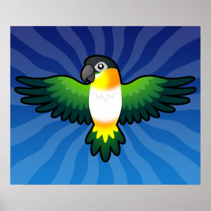 Cartoon Caique / Dwergpapegaai / Pionus / Papegaai Poster