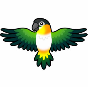 Cartoon Caïque / Lovebird / Pionus / Parrot Fotobeeldje Magneet