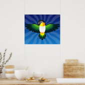 Cartoon Caïque / Lovebird / Pionus / Parrot Poster (Keuken)