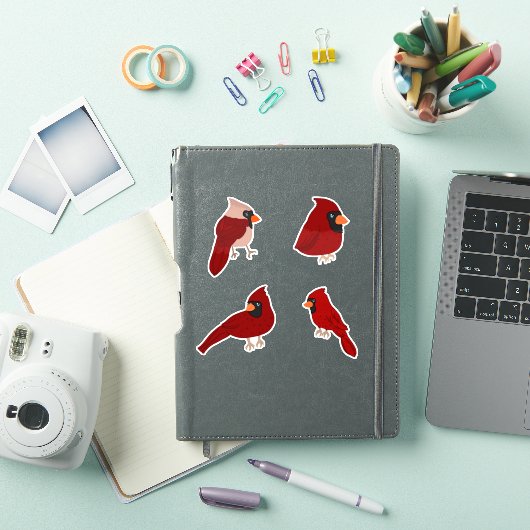 Cartoon Cardinal Sticker Pack (iPad Cover)
