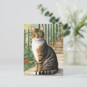 Cartoon Cat Briefkaart (Staand voorkant)