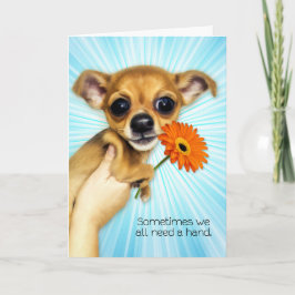 Cartoon Chihuahua Puppy Kaart