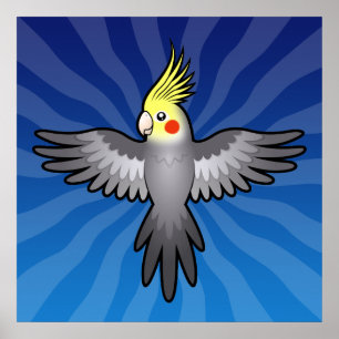 Cartoon Cockatiel Poster