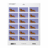 Cartoon Dachshund (longhair) Etiket (Full Sheet)