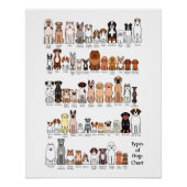 cartoon dog breeds poster (Voorkant)