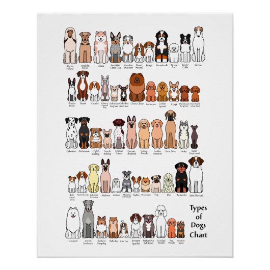 cartoon dog breeds poster (Voorkant)