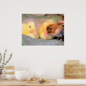 Cartoon Ducks and Chick Poster (Keuken)