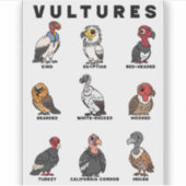 Cartoon Gieren van de Wereld Sticker (Voorkant)