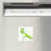 Cartoon Green Praying Mantis magneten (Insitu (Vaatwasser))