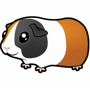 Cartoon Guinee Pig (glad haar) Fotobeeldje Magneet